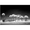 67mm Infrared Filter Hb700