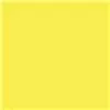 Savage Paper background Canary 1.35x11m (חצי אורך)