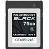 DELKIN CFexpress 75GB Type B