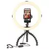 Beamo Ring Light 12