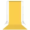 PAP.bckg Sand 134.62X91.44
