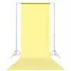 PAP.bckg Lemonade 134.62X91.44