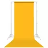 PAP.bckg Deepyell 134.62X91.44